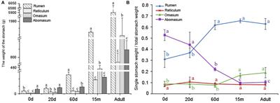 Transcriptome profiling in rumen, reticulum, omasum, and abomasum tissues during the developmental transition of pre-ruminant to the ruminant in yaks